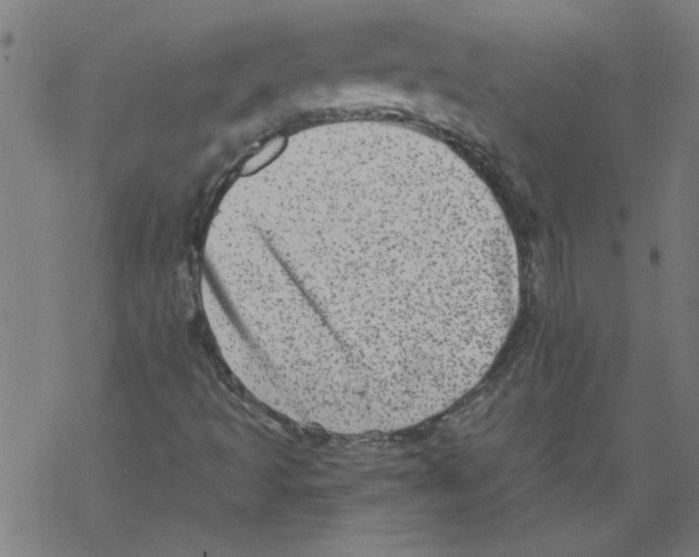 X0000067901493200605111903