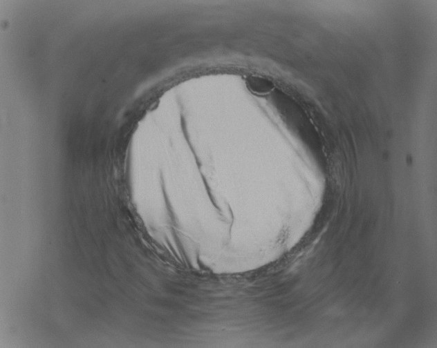 X0000067901494200605111903