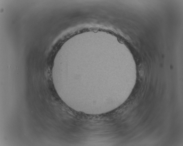 X0000067901495200605111903