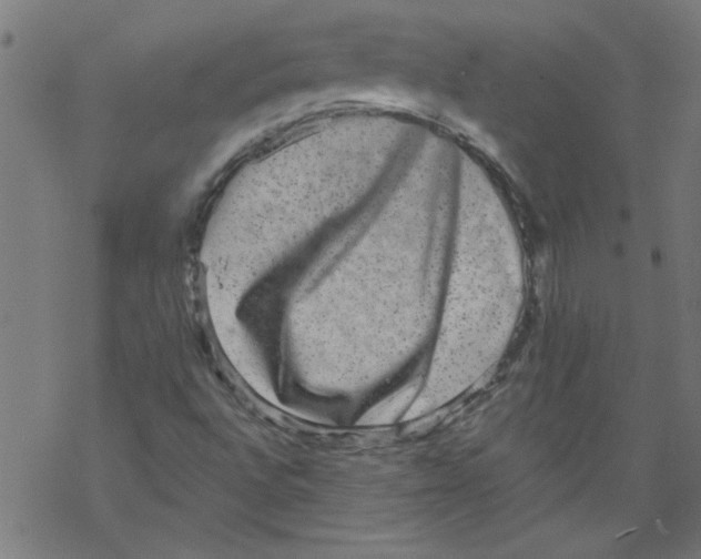 X0000067901496200605111903