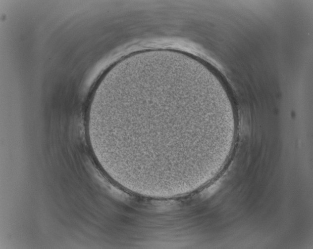 X0000067901498200605111904