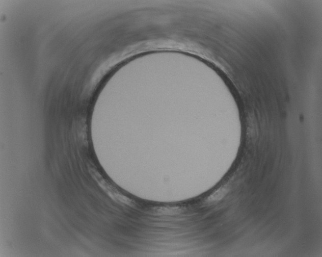 X0000067901499200605111904