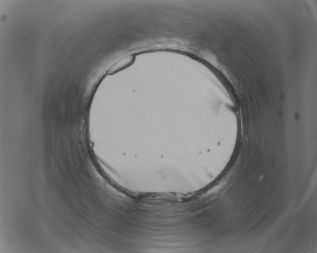 X0000067901500200605111904