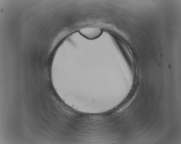 X0000067901501200605111904