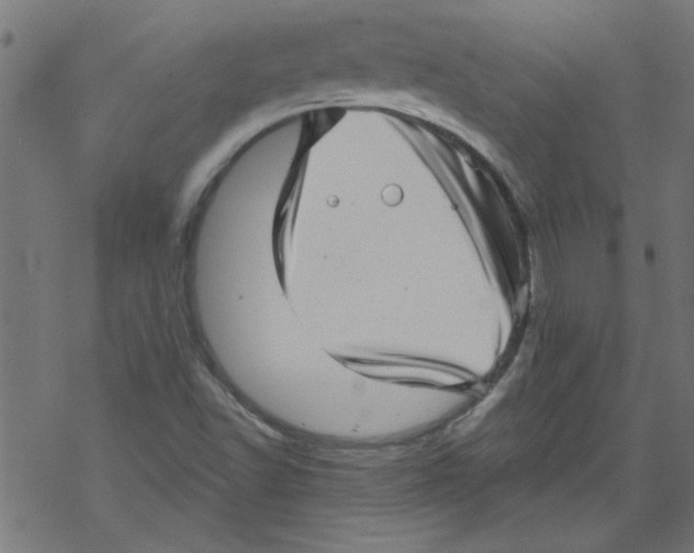 X0000067901502200605111904