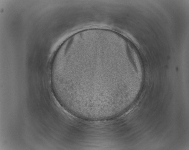 X0000067901504200605111904