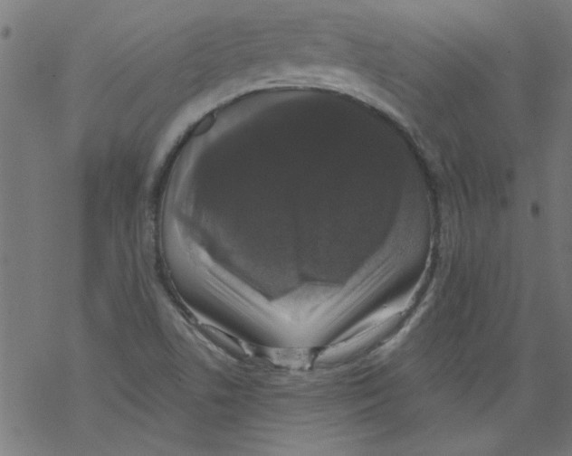 X0000067901506200605111904