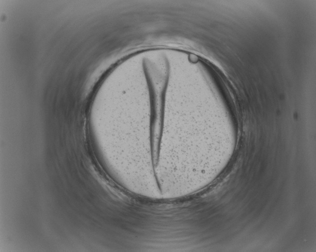 X0000067901507200605111904