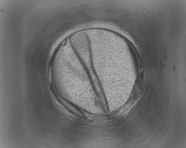 X0000067901510200605111904