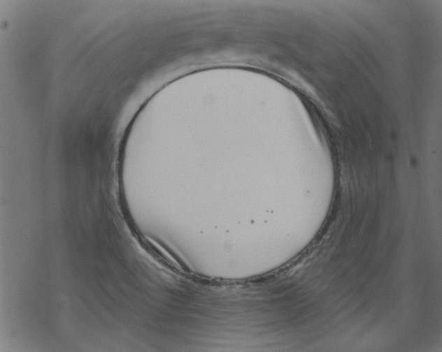 X0000067901512200605111904