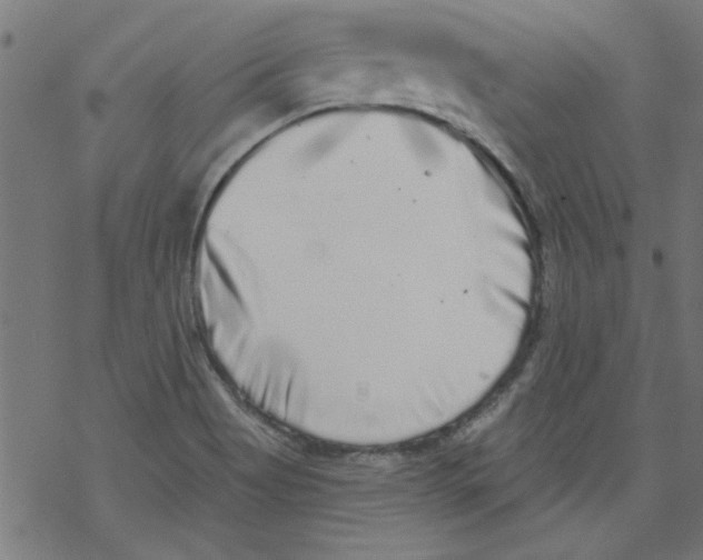 X0000067901513200605111904