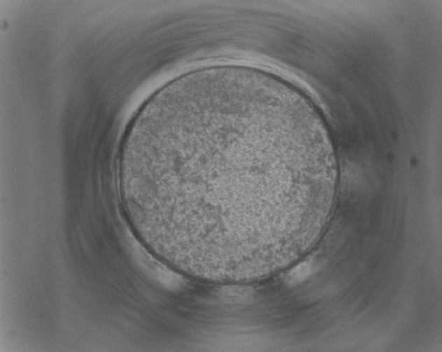 X0000067901514200605111904