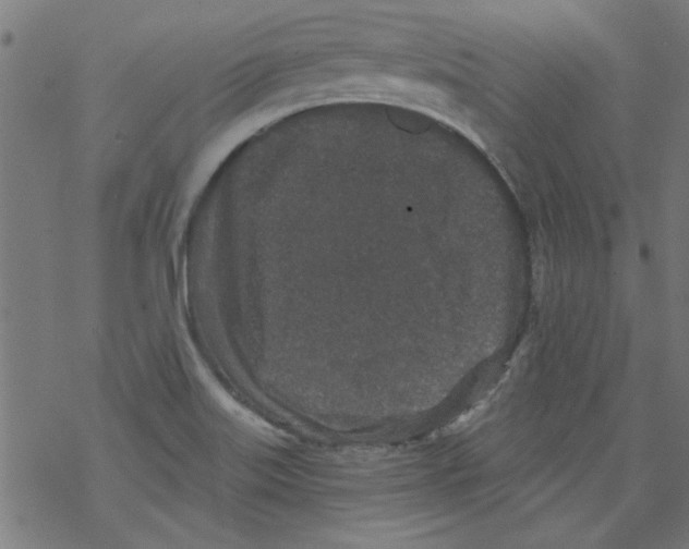 X0000067901515200605111904