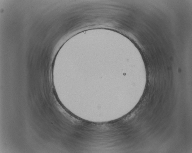 X0000067901516200605111904