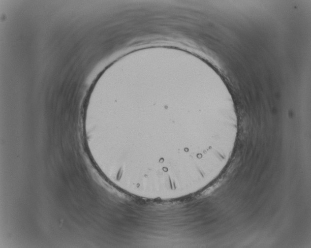 X0000067901518200605111904