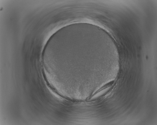 X0000067901519200605111904