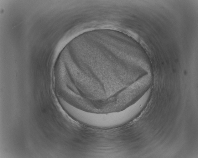 X0000067901520200605111904