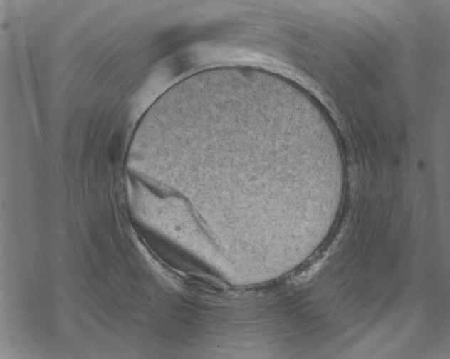 X0000067901521200605111904