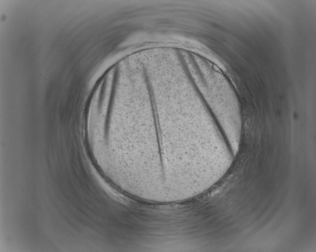 X0000067901523200605111904