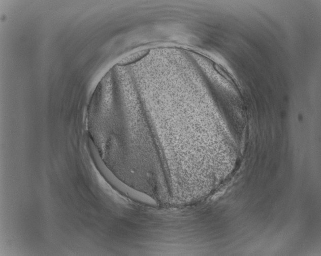 X0000067901524200605111904