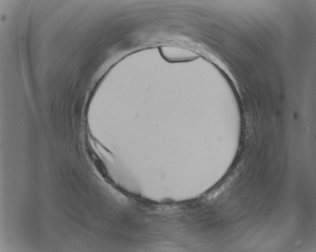 X0000067901525200605111904