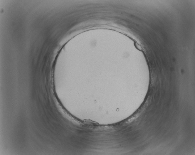 X0000067901526200605111904