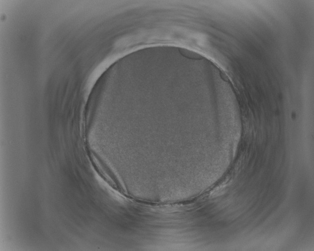 X0000067901527200605111904