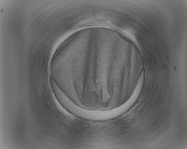 X0000067901528200605111904