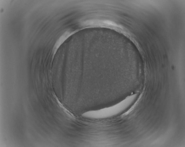 X0000067901529200605111904