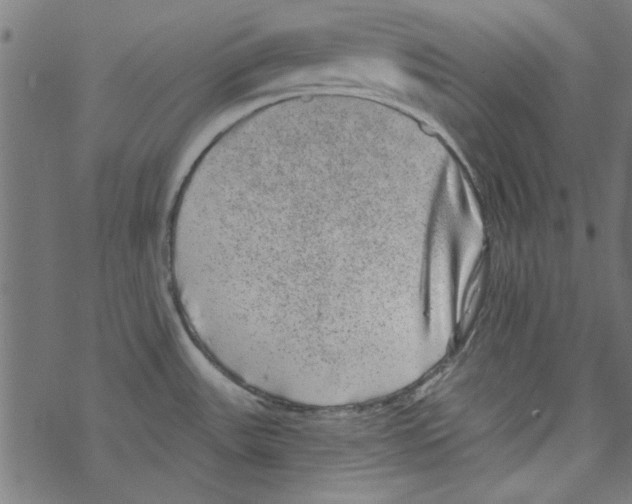 X0000067901531200605111904