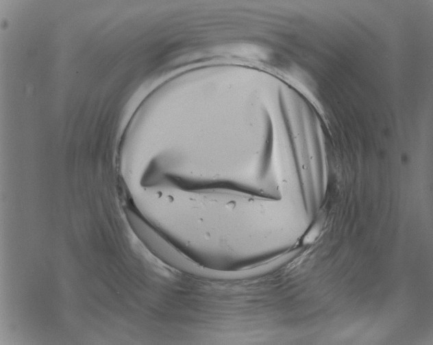 X0000067901532200605111904