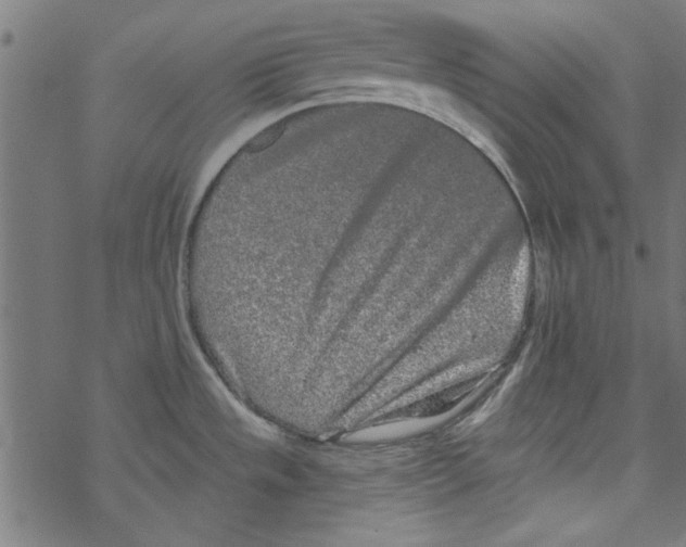 X0000067901533200605111904