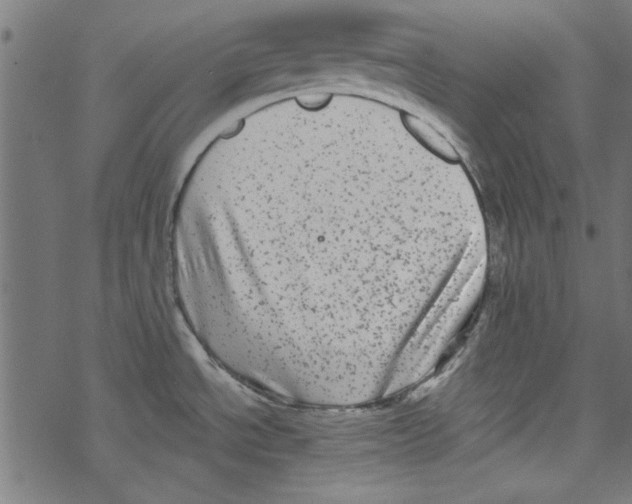 X0000067901534200605111904