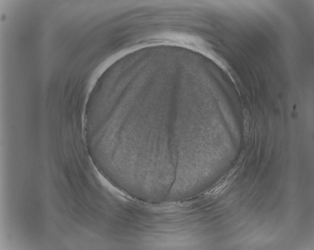 X0000067901535200605111904