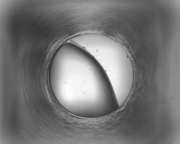 X0000067910001200604131121