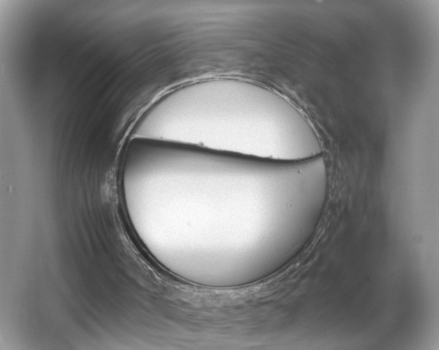 X0000067910002200604131121