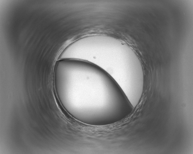 X0000067910003200604131121