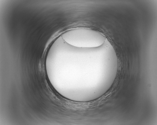 X0000067910004200604131121