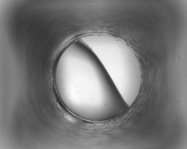 X0000067910005200604131120