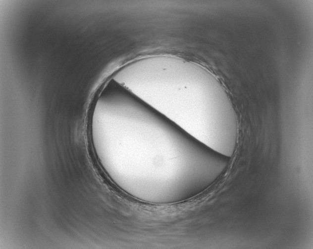 X0000067910006200604131120