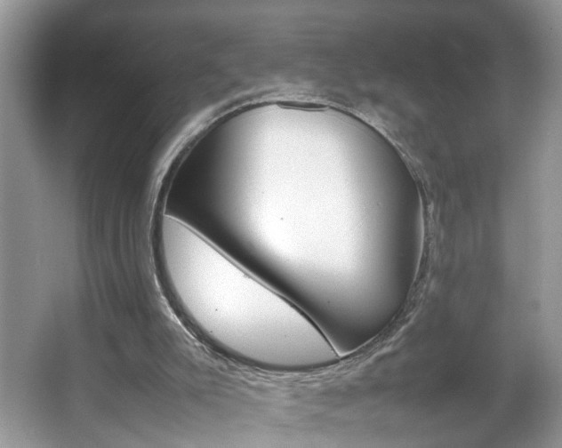 X0000067910007200604131120