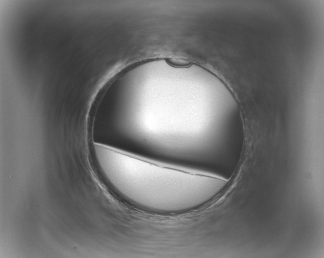 X0000067910008200604131120