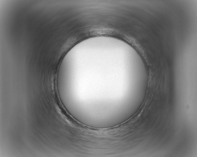 X0000067910010200604131120