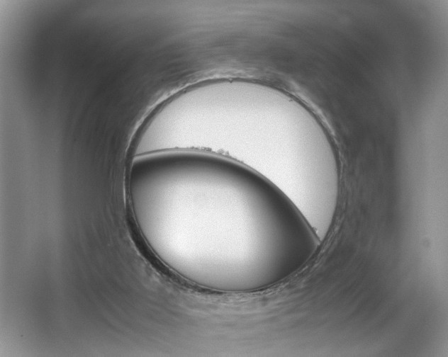 X0000067910011200604131120