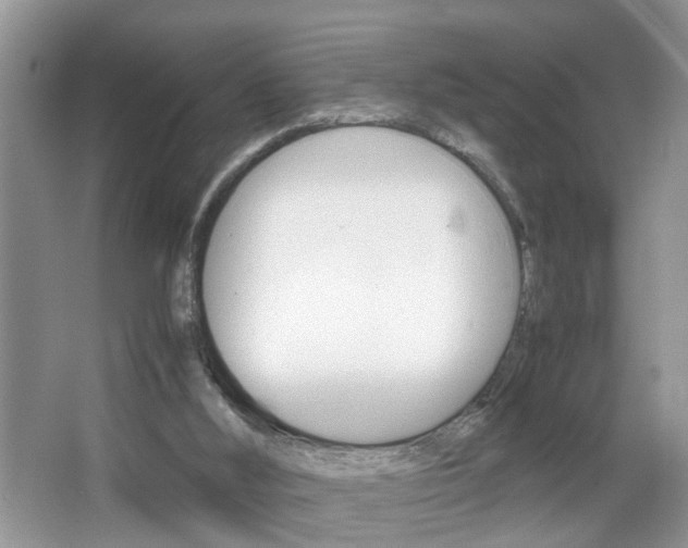 X0000067910012200604131120