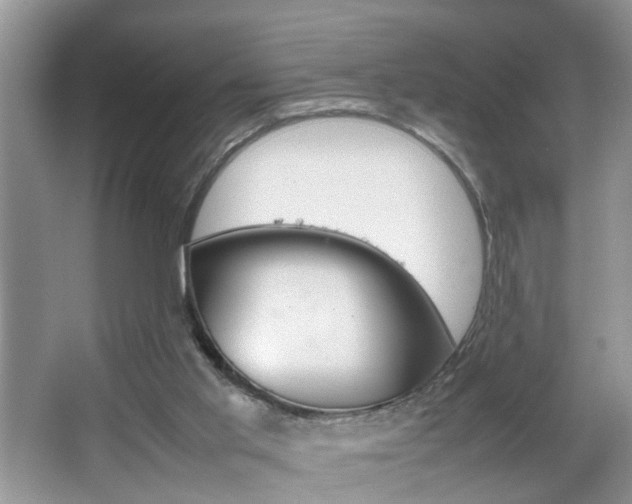 X0000067910013200604131120