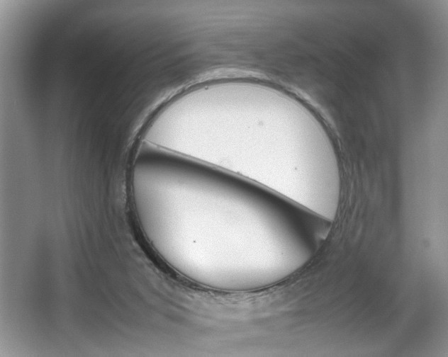 X0000067910015200604131120