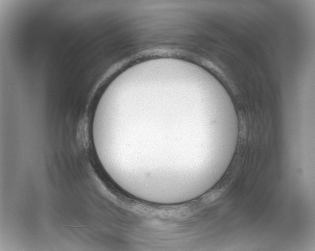 X0000067910016200604131120