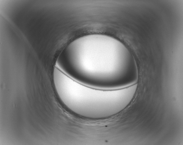 X0000067910017200604131120