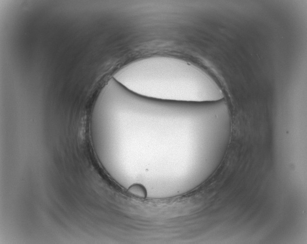 X0000067910018200604131120